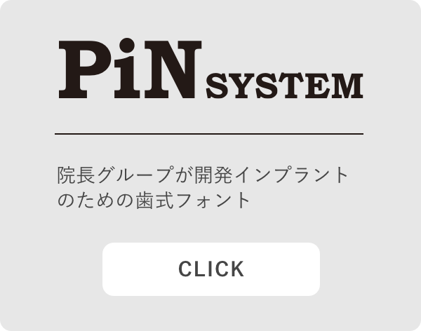 PinSystem